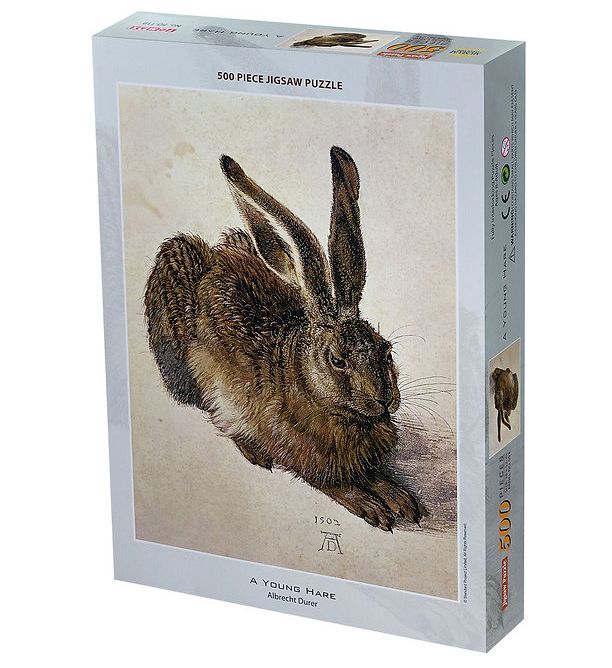 A Young Hare
